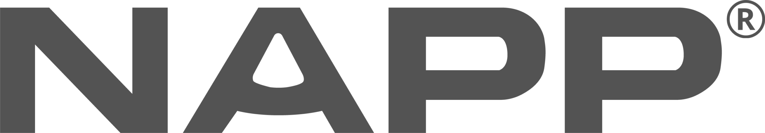 NAPP-1-scaled-1.png